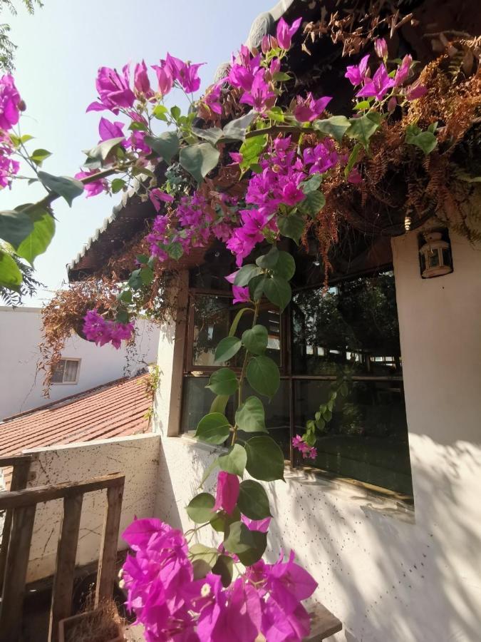 Dear B&B Tainan Exterior foto